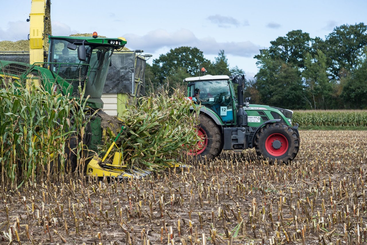 Bild 159 - Maisernte